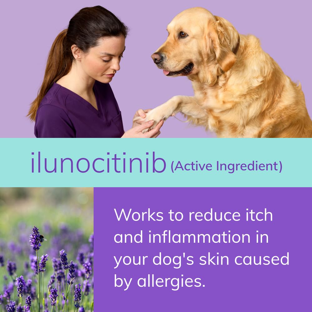 Zenrelia (ilunocitinib Tablets) | Once Daily Prescription Itch Relief for Dogs | 15 mg mg (30 Count)