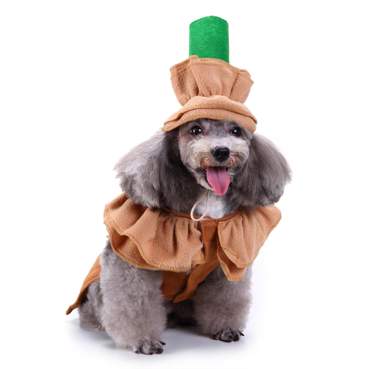 Latte Specialty Dog Costume - Coffee Shop Dog Cosplay Halloween Costumes, Puppy Christmas Party Attire for Medium Small Dogs Cats Pet Outfit Apparel Birthday Party Photo Props Dress up Accessories