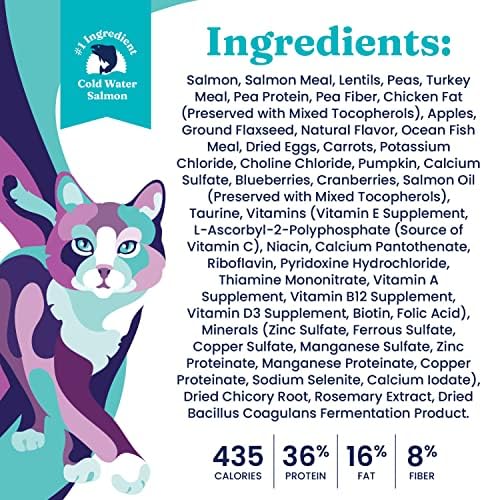 Solid Gold Indoor Dry Cat Food - Let's Stay in Cat Food Dry Kibble for Indoor Cats - Hairball & Sensitive Stomach - Grain & Gluten Free - Probiotics & Fiber for Digestive Health - Salmon - 3lb