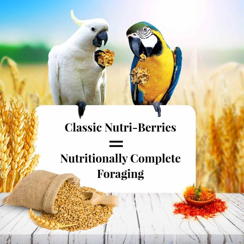 LAFEBER'S Classic Nutri-Berries Pet Bird Food, Made with Non-GMO and Human-Grade Ingredients, for Macaws and Cockatoos (14 lb)