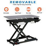 Electric Dog Grooming Table, 50 Inch Hydraulic Pet Grooming Table, Dog Grooming Station with Aluminium Overhead Arm, Anti Slip Tabletop, 6 USB Ports, 300 LBS Capacity