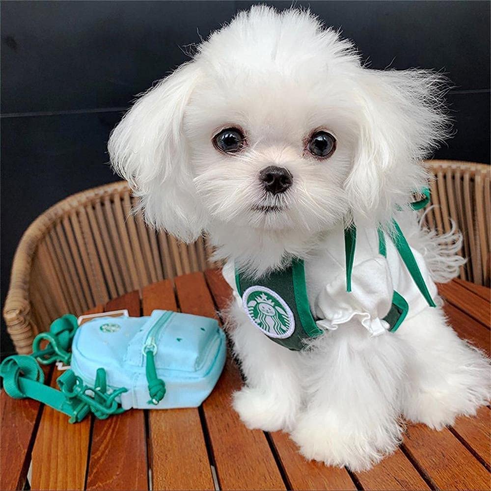 Halloween pet Clothing