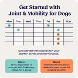 Summit Canine Joint and Mobility Supplement for Large Dogs, All Natural Liquid Chondroitin with Liposomal Delivery for Arthritis, Hip & Joint Support Vitamin, (Dogs 75+lbs)