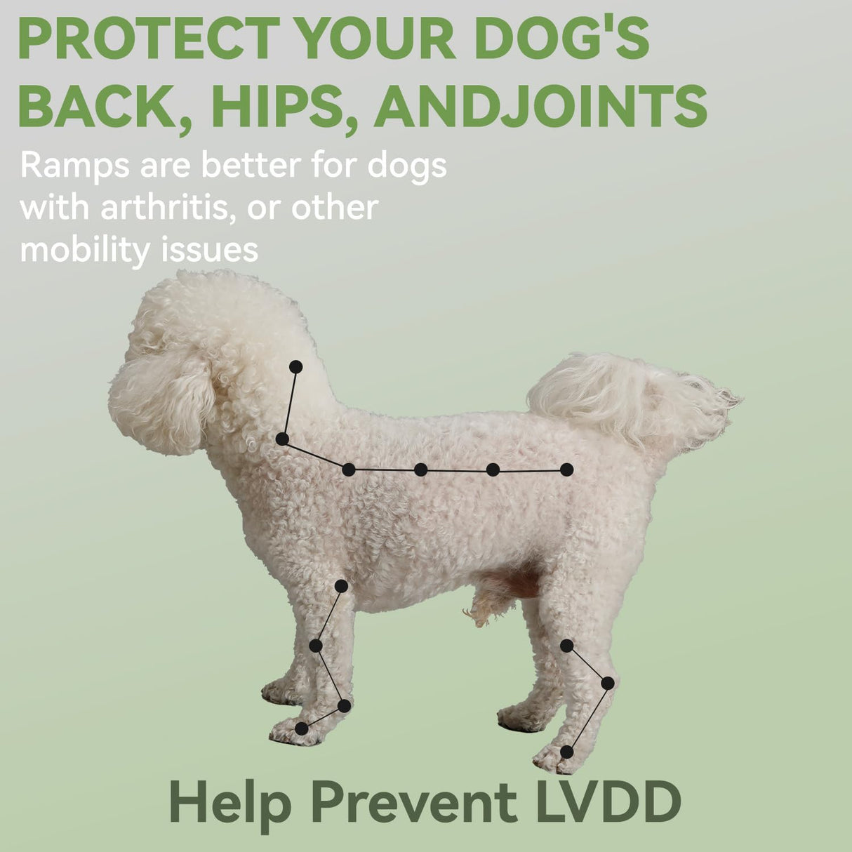 Dog Ramp for Dogs and Cats, 16" W 2-in-1 Split Ottoman Dog steeps for Bed,Solid Wood, Gentle 23 Incline, Foldable Pet Stairs for Large and Small Dogs (Dark Gray)