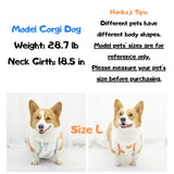 Harikaji Dog Belly Cover, Cat Recovery Suit Pet Abdominal Protective Clothing Washable Dog Bellyband Dog Recovery Suit(Male Blue,L)