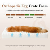 Cozila Orthopedic Dog Bed Medium Size Dog, Pet Beds with Waterproof Lining, Soft Short Plush Surface & Egg Crate Foam, Machine Washable Pet Mat with Removable Cover & Anti Slip Bottom