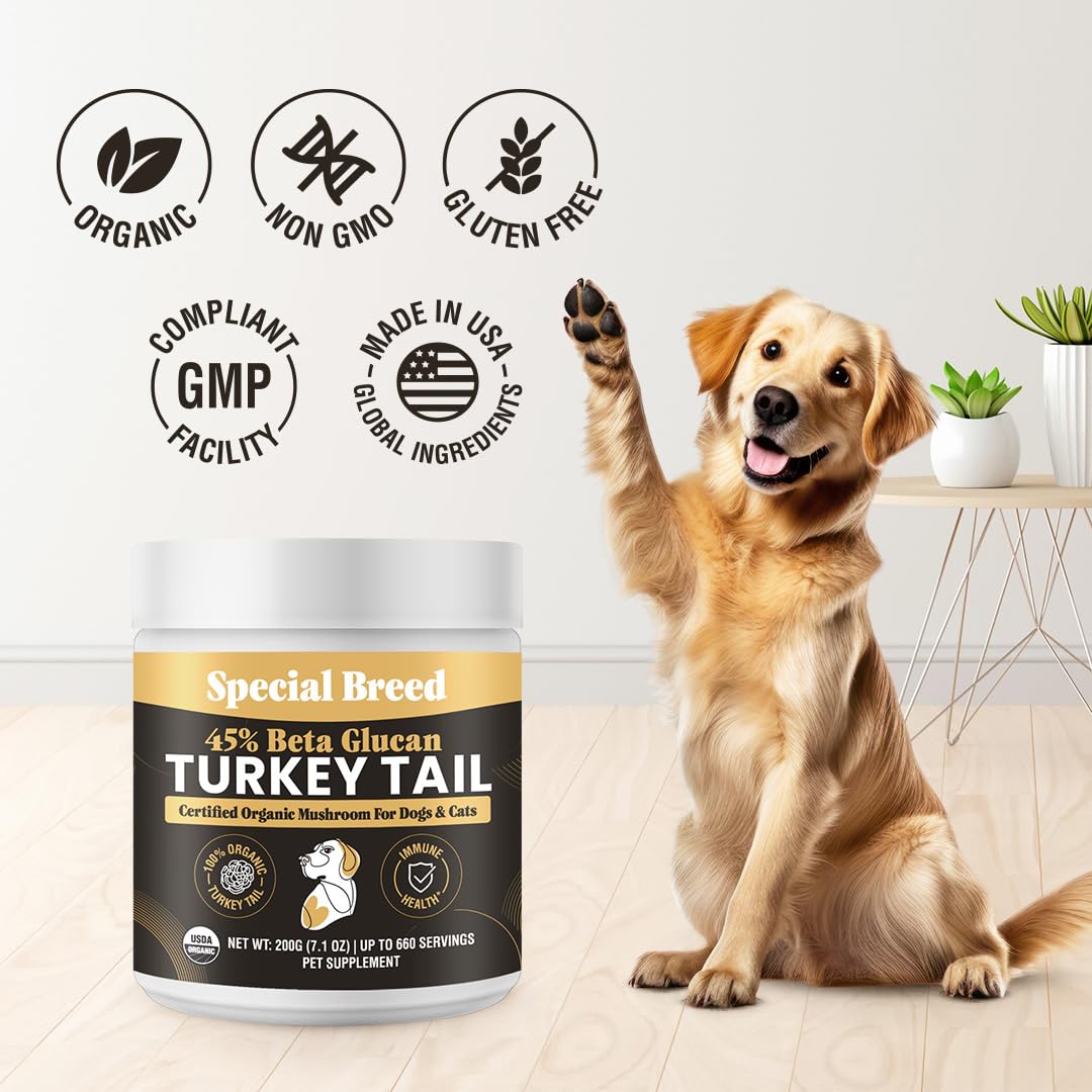 Organic Turkey Tail Mushroom for Dogs and Cats, 45% Beta Glucan Standardized, Hot Water Extracted Whole Fruiting Body, Third Party Tested, Immune and Gut Support, No Fillers, Made in USA, 660 ct