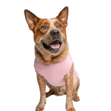 Coming Soon Dog Tee Shirt | Sleeveless | Sizes for All Ages and Breeds | Pregnancy Announcement | Photoshoot Prop | New Baby | Gender Reveal |Baby Pink, 5X-Large 769