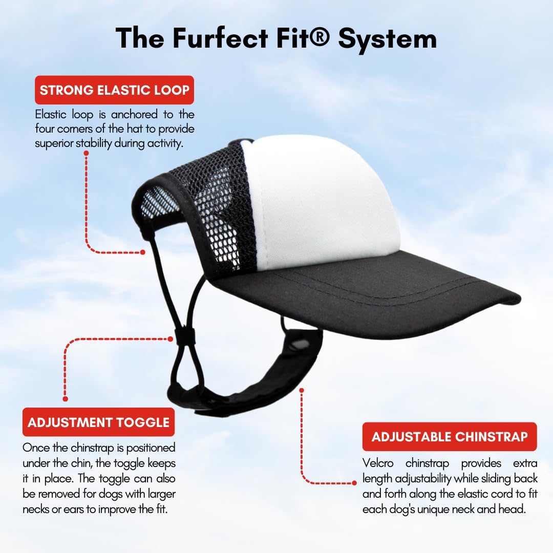 Nature Collection, PupLid Trucker Hats for Dogs (Large) Premium Stylish Sun Protection for The Modern Dog - Adjustable for Secure Comfortable Fit on Active Dogs (Black, Bear)