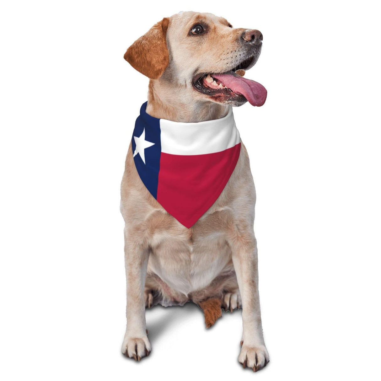 Flag of Texas Triangle Dog Bandana Scarf Accessories for Pet Bibs
