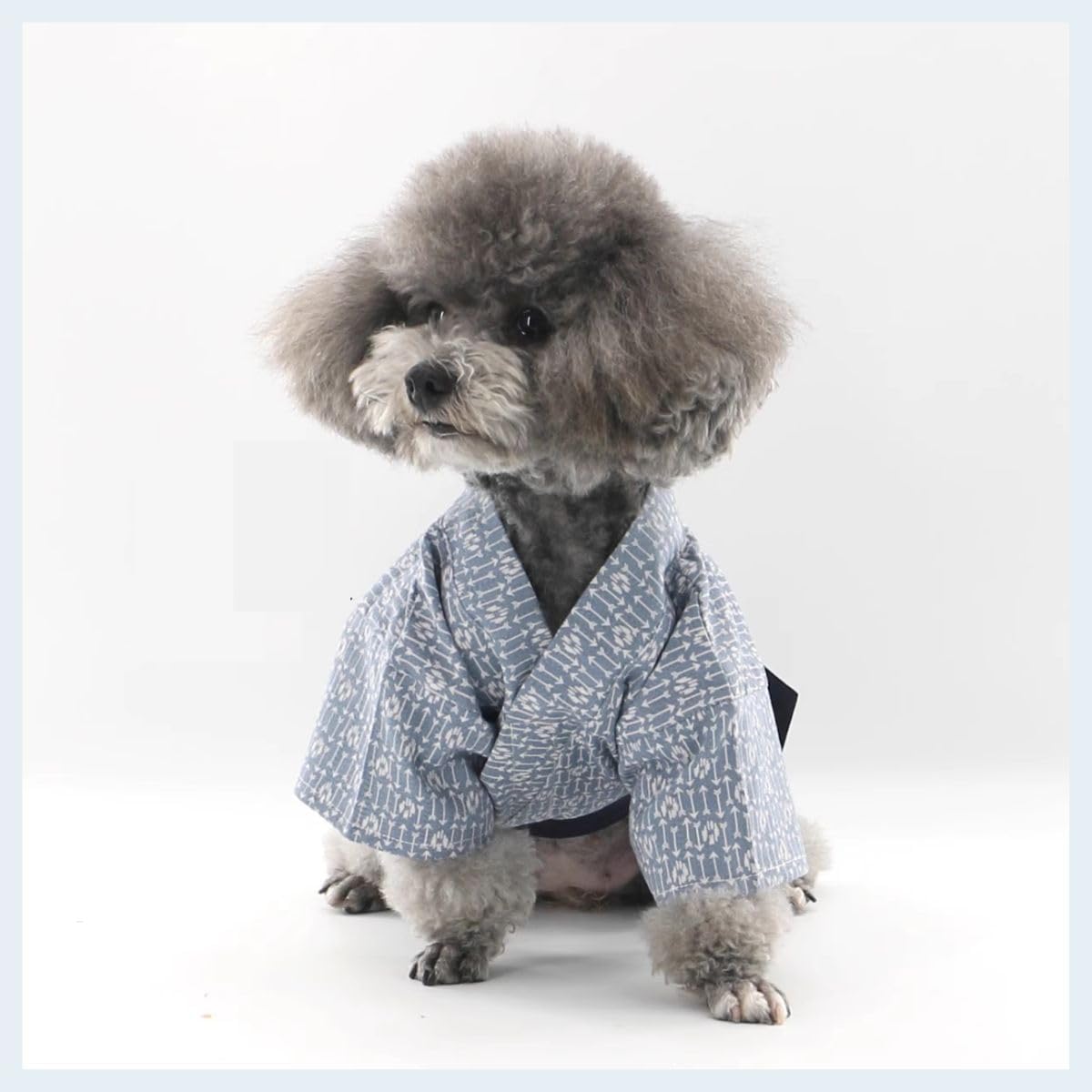 MANON ROSA Dog Costume Japanese Yukata Kimono - Traditional Pet Kimono Cosplay for Small Medium Dogs, Puppies Cats Kittens, Breathable Adjustable Outfit (9-14lbs Sky Blue,Large)