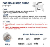 Dog Costume Clothes, Cute Denim Overalls for Small & Medium Pets, Boy & Girl Dogs Coats Jeans T-Shirts Sweatshirts