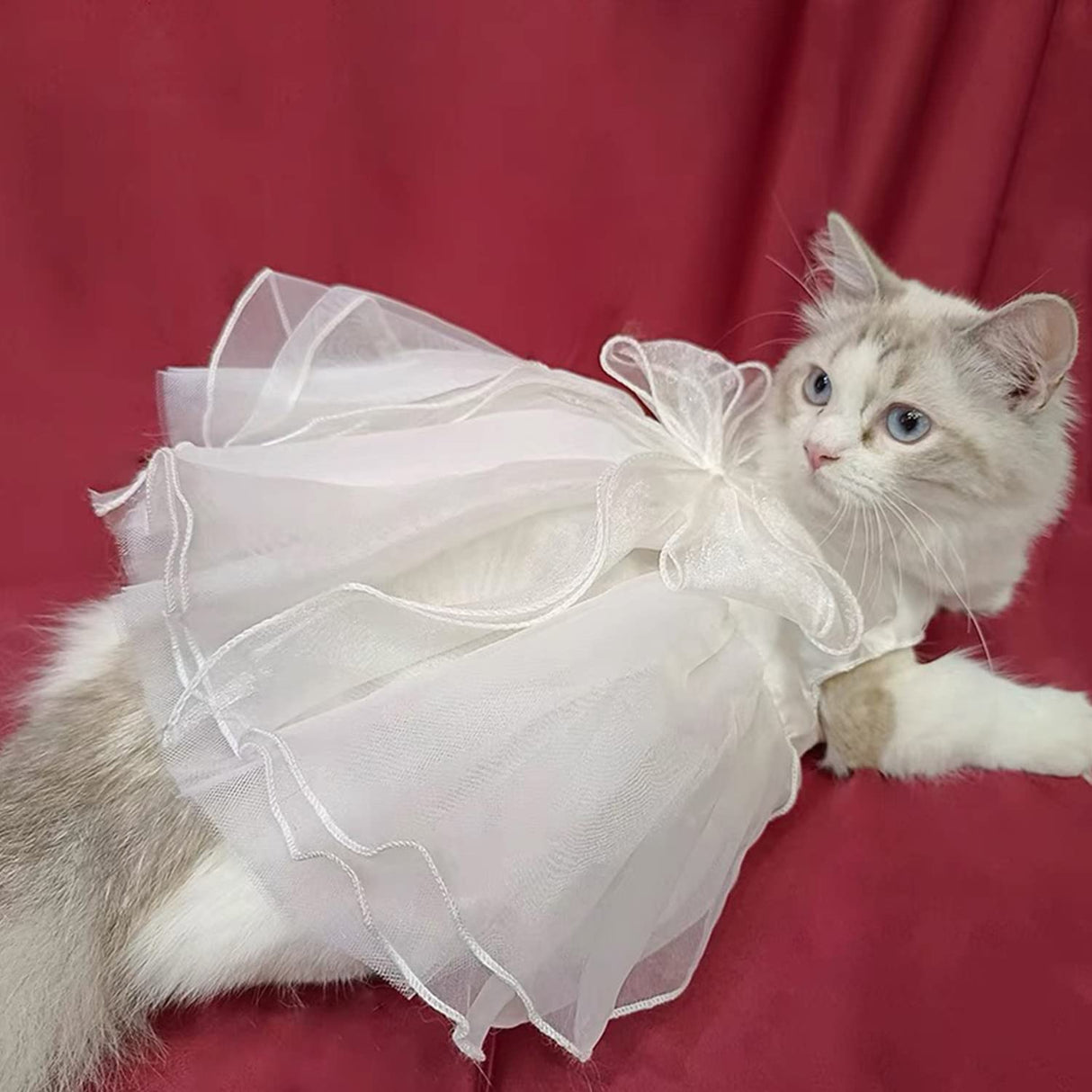 FLAdorepet White Dog Dress Tutu Princess Skirt with Bowknot Dog Luxury Formal Party Birthday Wedding Dress Bride Costume for Small Medium Dog (Small(5-6lbs), White)