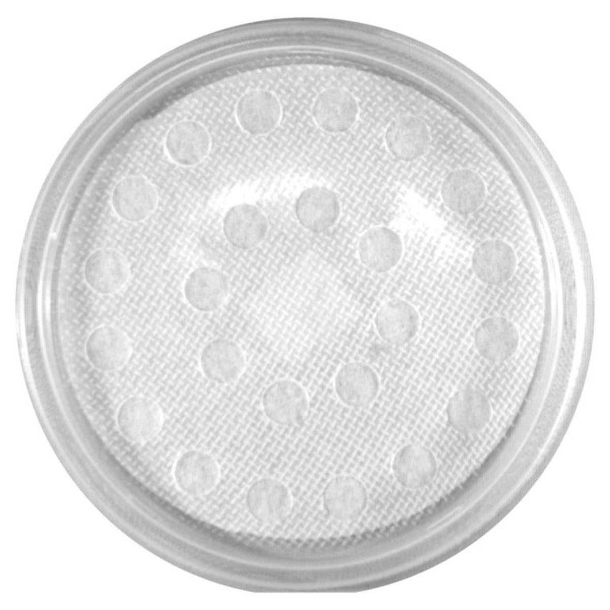Josh's Frogs Melanogaster Fruit Fly Culture Kit (Makes 10 Cultures)