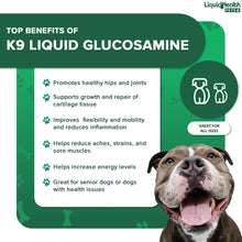 Load image into Gallery viewer, LIQUIDHEALTH Pets K9 Liquid Glucosamine for Dogs, Puppies, Senior Canines with Chondroitin, MSM, Hyaluronic Acid - Dog Vitamins for Hip &amp; Joint Health, Dog Joint Oil, Joint Juice - Made in USA (32 oz)
