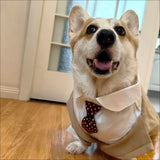 HDKUW Large Dog Wedding Shirt, Dog Tuxedo with Bow Tie, Dogs Wedding Formal Suit, Doggie Prince Gentleman Costume for Medium Large Dogs Khaki L