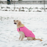 Winter Coat for Small Dogs, Puppy Plaid Jacket, Cotton Coat for Cold Weather, Windproof Warm Dog Garments, Pet Thickened Outfits Indoor Outdoor, Pink S