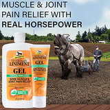 Absorbine Veterinary Liniment Gel, Topical Menthol Analgesic Rub for Sore Muscle, Joint & Arthritis Pain Relief, Combo Pack Includes 12oz Value Size + 3oz Travel Size
