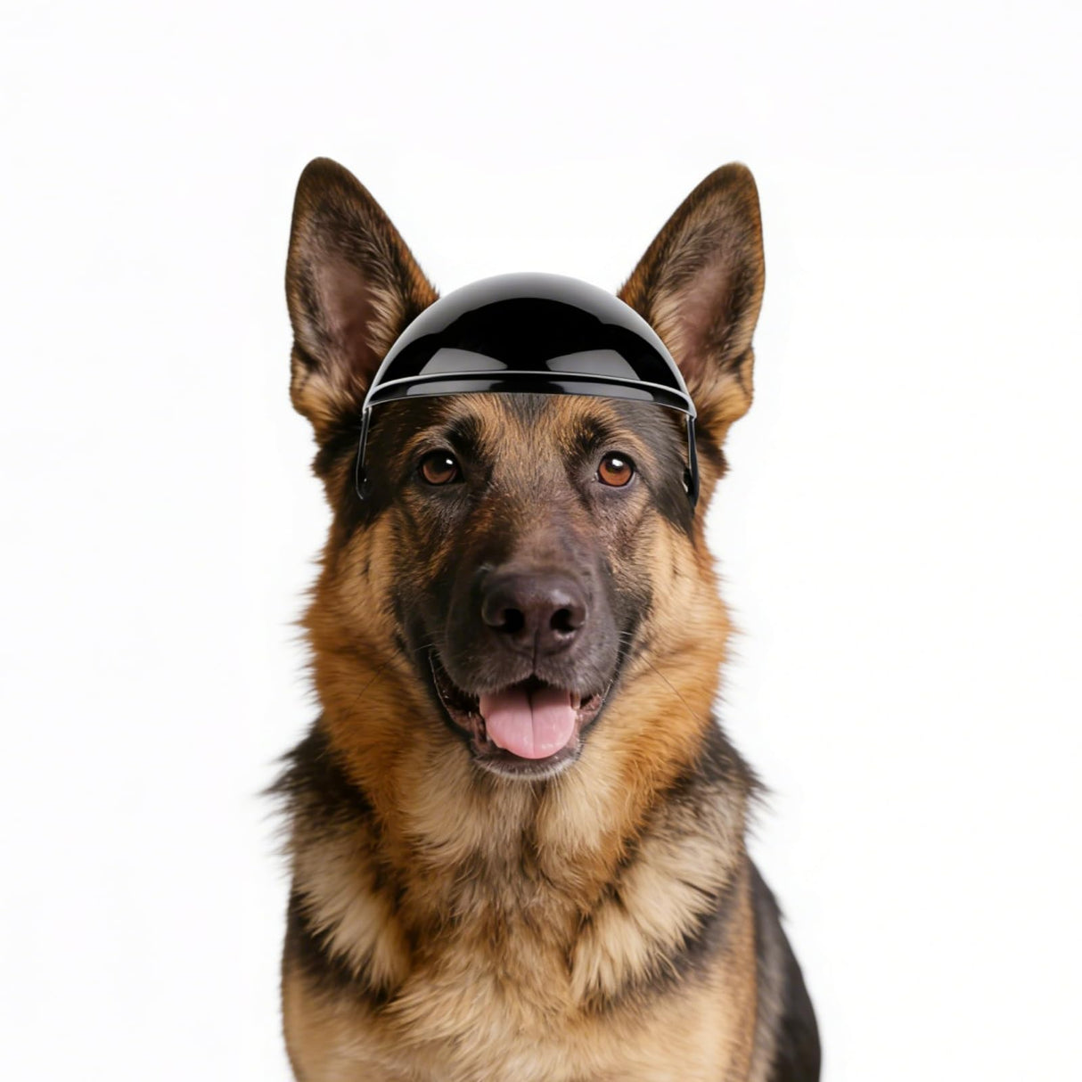 Namsan Large Dog Helmet, Dog Helmets for Large Dogs, Doggie Motorcycle Helmets with Ear Holes, Outdoor Doggy Bike Helmet for Head Protection, Adjustable, Black L