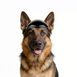Namsan Large Dog Helmet, Dog Helmets for Large Dogs, Doggie Motorcycle Helmets with Ear Holes, Outdoor Doggy Bike Helmet for Head Protection, Adjustable, Black L