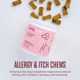 WagWell Allergy & Itch Chews – Vet-Formulated, All Natural, Made in The USA – Plant-Based Dog Allergy Chews with Colostrum and Spirulina – Supports Dog Allergy Relief and Digestive Health, 60 Chews