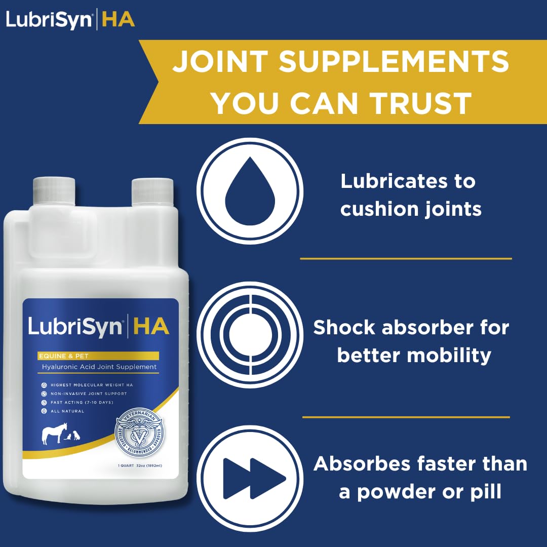 LubriSynHA Hyaluronic Acid Hip & Joint Care Supplement for Dogs, Cats & Horses – Liquid Oral HA for Pets – Joint Support Supplement Promotes Mobility, Flexibility, Cartilage Health & Comfort – 32oz