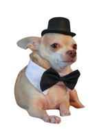Black Top Hat with Bow Tie for Cats and Small Dogs – Handmade Formal Pet Hat for Weddings, Parties, and Photoshoots – Elegant Cat or Dog Accessory