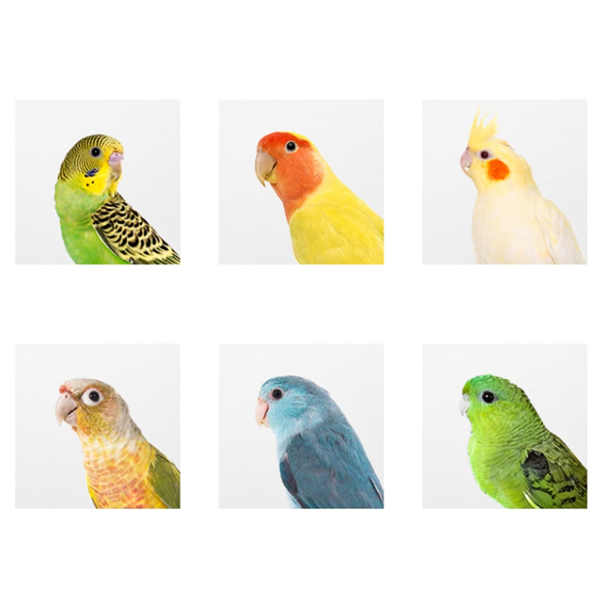 Hiceeden 2 Pack Parakeet Nest Box, Natural Wood Bird Nesting Box, Small Bird House Breeding Box for Budgie Lovebirds, Cockatiel, Parrots Mating, Aviary, 7.7×4.7×4.7 Inches