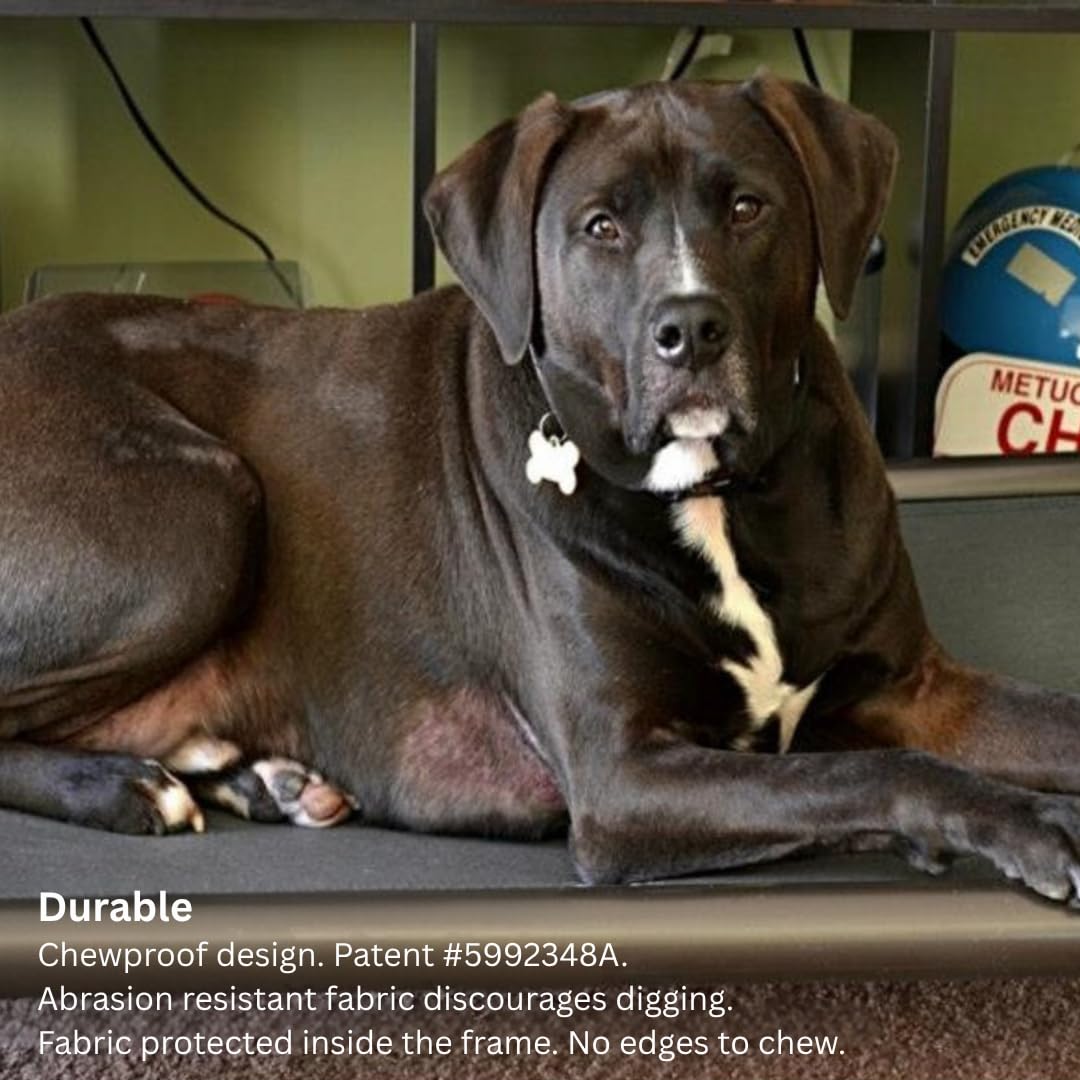 Kuranda Chewproof Elevated Dog Bed - Walnut PVC - 40" x 25" - Cordura Nylon - Gold