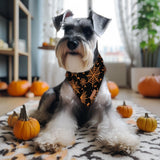 Halloween Dog Bandanas 2 Pack Washable Soft Cotton Halloween Pumpkin and Spider Bibs Scarf Multiple Sizes Offered Premium Durable Fabric Adjustable Fit