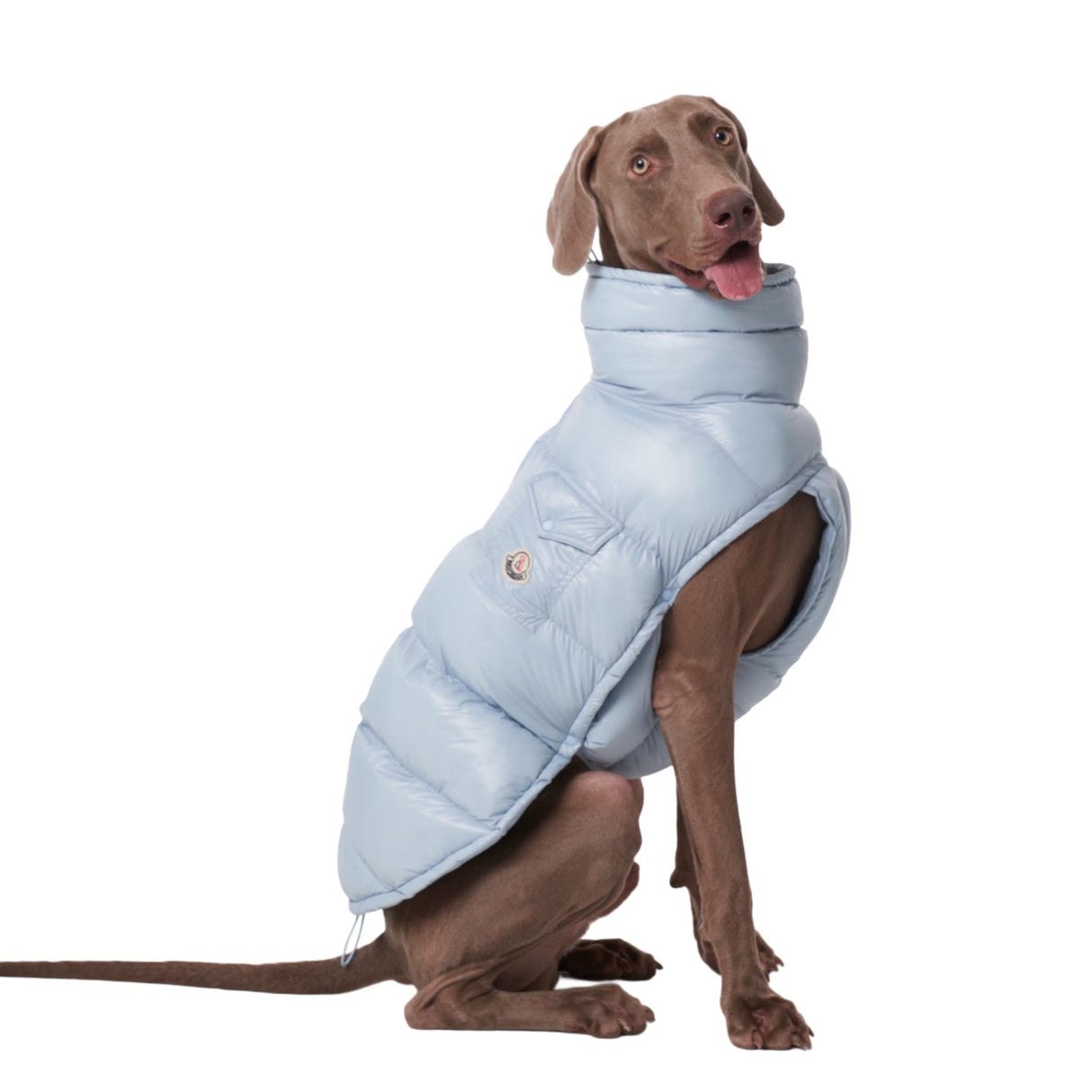ChoChoCho Winter Dog Jacket, Cold Weather Coats, Lightweight, Thermal Insulated, Water-Resistant, Adjustable Dog Jackets with Leash Access for Small Medium Large Breeds (Blue, 3)