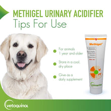 Load image into Gallery viewer, Vetoquinol Methigel Urinary Acidifier to Promote Urinary and Bladder Health for Dogs &amp; Cats
