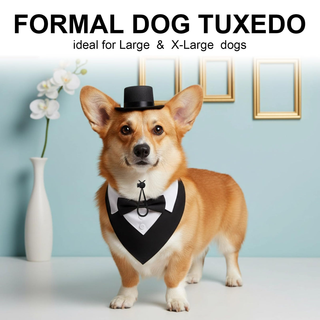 FunMular 3Pcs Formal Dog Tuxedo Accessories Set Adjustable Wedding Collar Bandana with Bow Tie Pet Top Hat for Large X-Large Dogs New Years Wedding Birthday Party