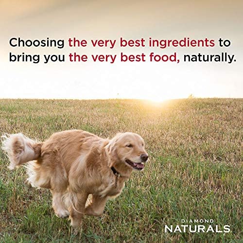 Diamond Naturals Large Breed Puppy Real Lamb Recipe Premium Dry Dog Food, 6 lb