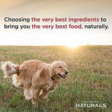Diamond Naturals Large Breed Puppy Real Lamb Recipe Premium Dry Dog Food, 6 lb