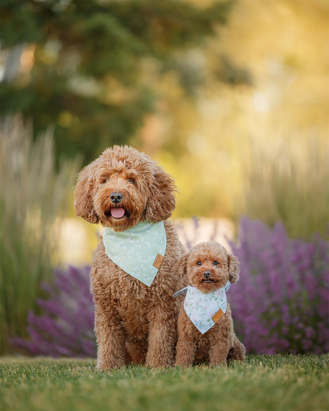 Remy+Roo Spring Dog Bandanas - 4 Pack Gemma Set | Premium Durable Adjustable Polyester Fabric | Patented Shape Girl Dog Bandana, Floral Dog Bandana (Small)