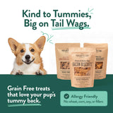 Portland Pet Food Company Natural Dog Treats Variety Pumpkin Gingerbread & Bacon Dog Biscuits - Grain-Free, Human-Grade Healthy Training & Snacks - Puppy, Small, Large Breed - Made in the USA - 3 Pack