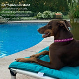 Kuranda Chewproof Elevated Dog Bed - Silver Aluminum - 30" x 20" - Cordura Nylon - Forest Green