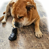 Syorix Dog Paw Wound Recovery Boot | Waterproof Protector for Injured Paws, Anti-Lick Support, Non-Slip Sole Dog Bootie | for Medium, Large & XL Dogs (1 Boot) (XXXL=3XL)