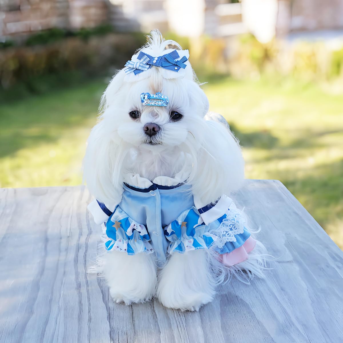 MengYu Small Dog Dress Cat Princess Costumes, Pet Birthday Clothes,Lolita Costume Dress for Puppy and Kitten，Velvet Pet Bodysuit Clothes for Daily，Anniversary，Indoor，Outdoor