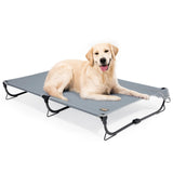 CANINE CANYON Daisy Cot, Large Foldable Elevated Dog Bed, Portable Raised Outdoor Folding Dog Cot, Cooling, Chew Proof, Waterproof, Heavy Duty Up to 160 lbs for Camping/Home, Grey, 43"x 27"x7"
