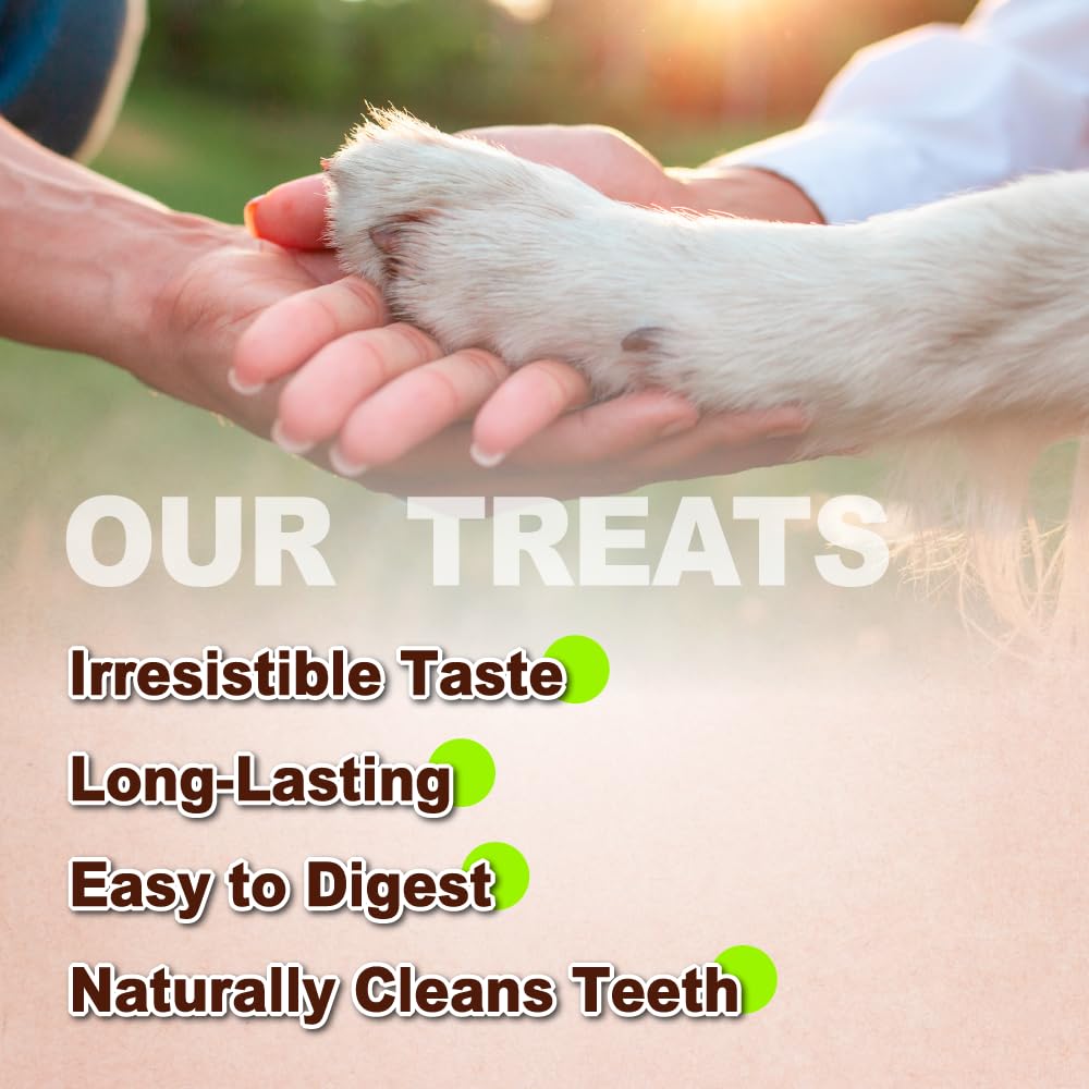 A Freschi srl Turkey Tendons for Dogs, Long-Lasting, Hypoallergenic Rawhide Alternative, Human Grade, Healthy Puppy Chews, Natural Dog Treats for Small Dogs, Strips, 10oz Pack