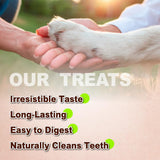 A Freschi srl Turkey Tendons for Dogs, Long-Lasting, Hypoallergenic Rawhide Alternative, Human Grade, Healthy Puppy Chews, Natural Dog Treats for Small Dogs, Strips, 10oz Pack