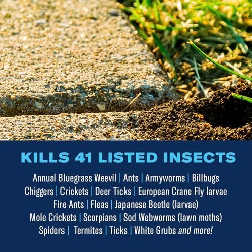 BioAdvanced 700288B Complete Insect Killer for Soil & Turf, Lawn and Yard Bug Killer, Granules, 10-Pounds