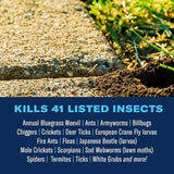 BioAdvanced 700288B Complete Insect Killer for Soil & Turf, Lawn and Yard Bug Killer, Granules, 10-Pounds