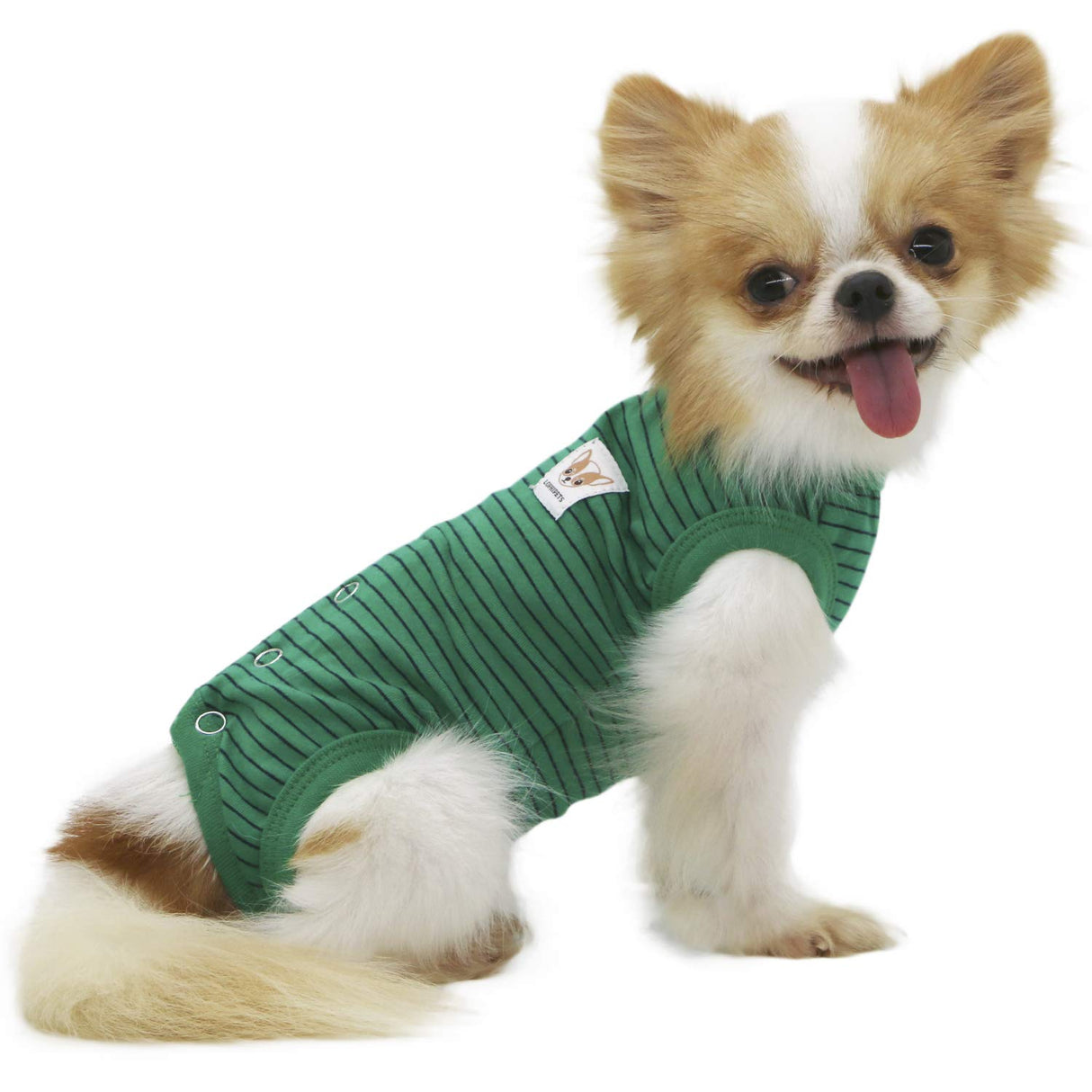 LOPHIPETS Girl Dog Shirts Pajamas - Fits 4.5-6.5 lbs - Adult Chis, Poms, Maltese - Green Strips/M