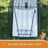 HOMESTEAD 2-Pack Live Animal Trap - Specialized for Raccoons, Opossums, Groundhogs, Skunks, Feral Cats, Squirrels - Heavy Duty Steel Traps, 1-Door, Green, Humane Catch & Release Animal Trap,89-302