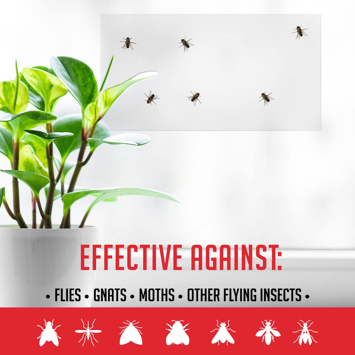 Window Fly Traps Indoor Clear (30 Pack) - Fly Window Traps for Indoors Sticky, Indoor Fly Trap Non-Toxic Fly Strips for Windows - Fly Sticky Traps Indoor Fly Paper Indoor Bug Sticky Traps (8.25" x 5")
