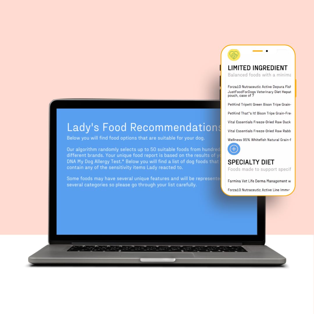 DNA MY DOG Vet-Recommended and Most Accurate Allergy Test for Itchy, Sensitive Dogs | Cheek Swab – The Gold Standard of Testing | Tests for All Common Food & Environmental Allergens | Custom Report
