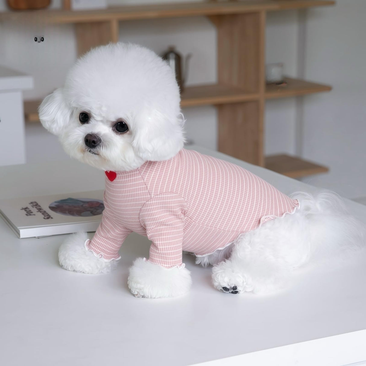 2Pcs Cute Dog Shirt Breathable Stretchy Puppies Tshirt for Small Medium Dogs Sphynx Cats Kitten Frenchie Dachshund (S (5.5-7.7 lbs))
